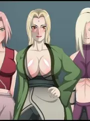 Hokage Servant cover