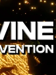 Divine Intervention cover