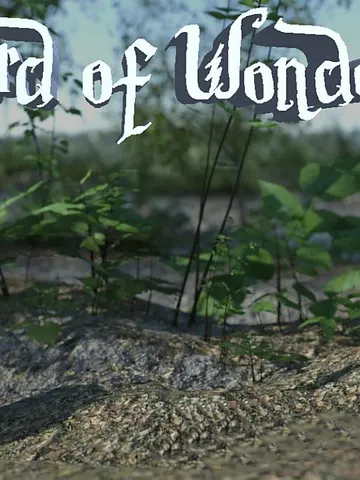 Sword of Wonder cover