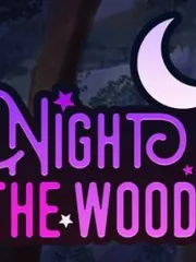 A Night in the Woods cover