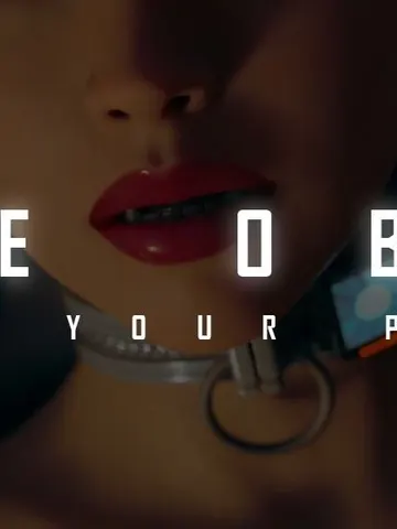 The Obey cover