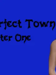 The Perfect Town cover