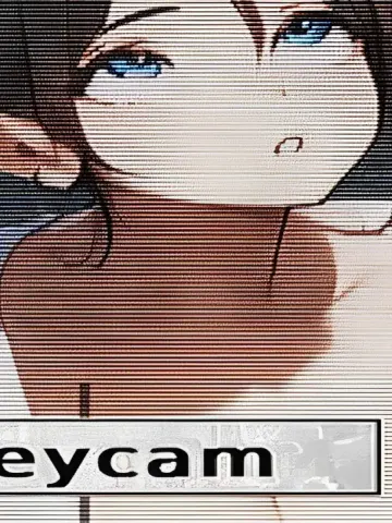 Alleycam cover