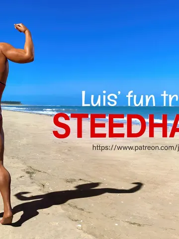 Luis' Fun Trip to Steedhaven cover