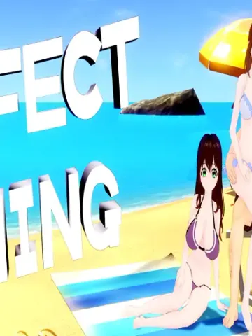 Perfect Timing cover