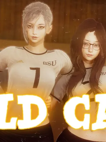 Wild Cats cover