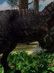 Jurassic Land cover