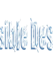 Invisible Desires cover