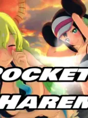 Pocket Harem cover