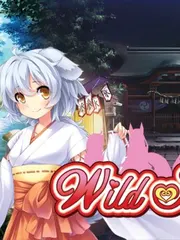 Wild Romance cover