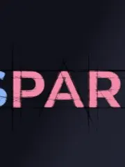 Disparity cover
