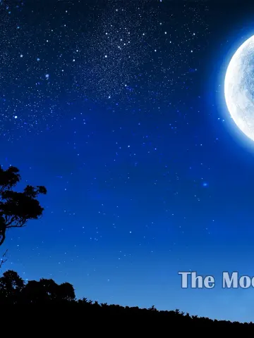 The Moonlit Awakening cover