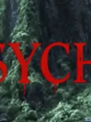 SULLEN PSYCHO cover