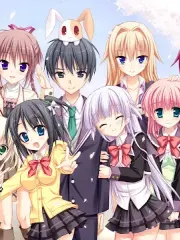 Hatsuyuki Sakura cover