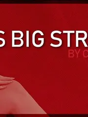 Leanna's Big Streak cover