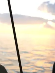 The Spice Pirate cover