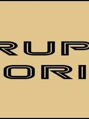 Corruption Stories cover