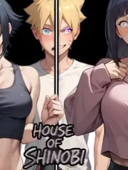House of Shinobi cover