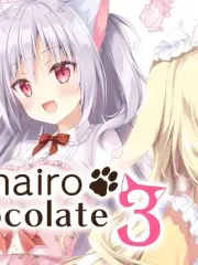 Amairo Chocolate 3 cover
