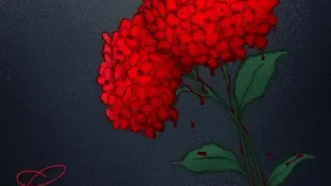 Crimson Hydrangea cover, wide