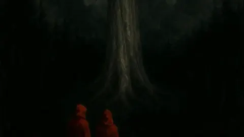 Within the Branches cover, wide