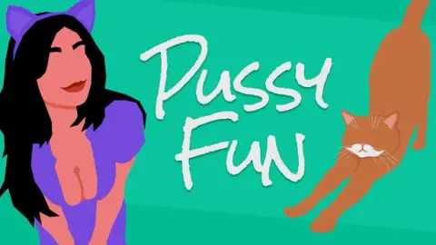 Pussy Fun cover, wide