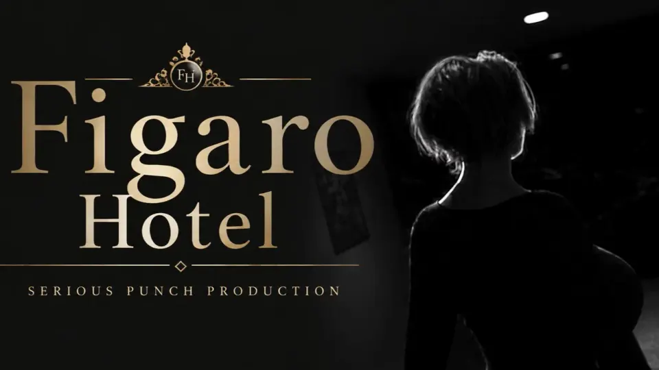 Figaro Hotel cover, wide