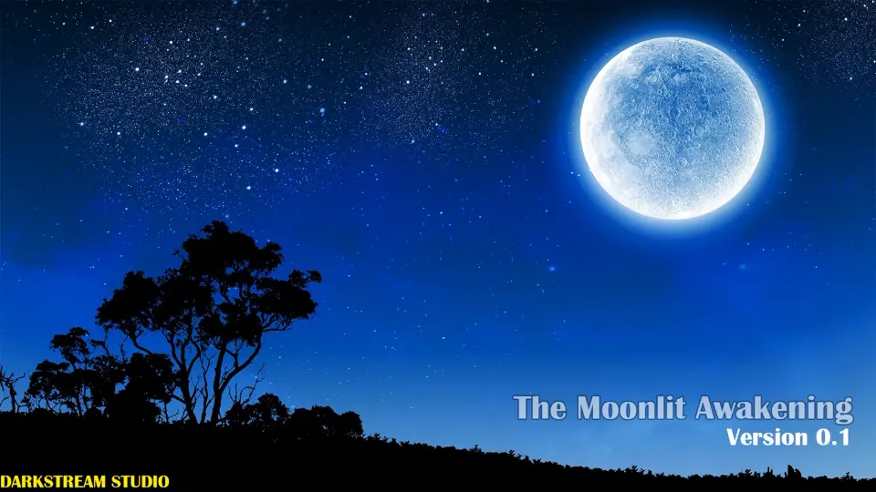 The Moonlit Awakening cover, wide