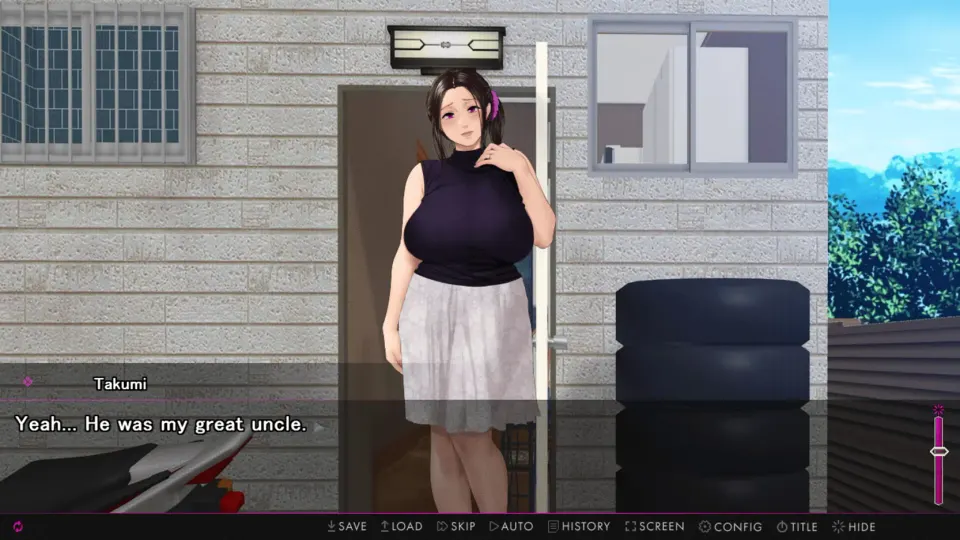 Afternoon Affairs & Helpless Housewives screenshot 3