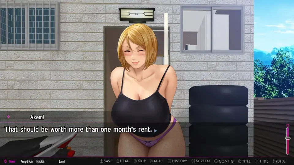 Afternoon Affairs & Helpless Housewives screenshot 5