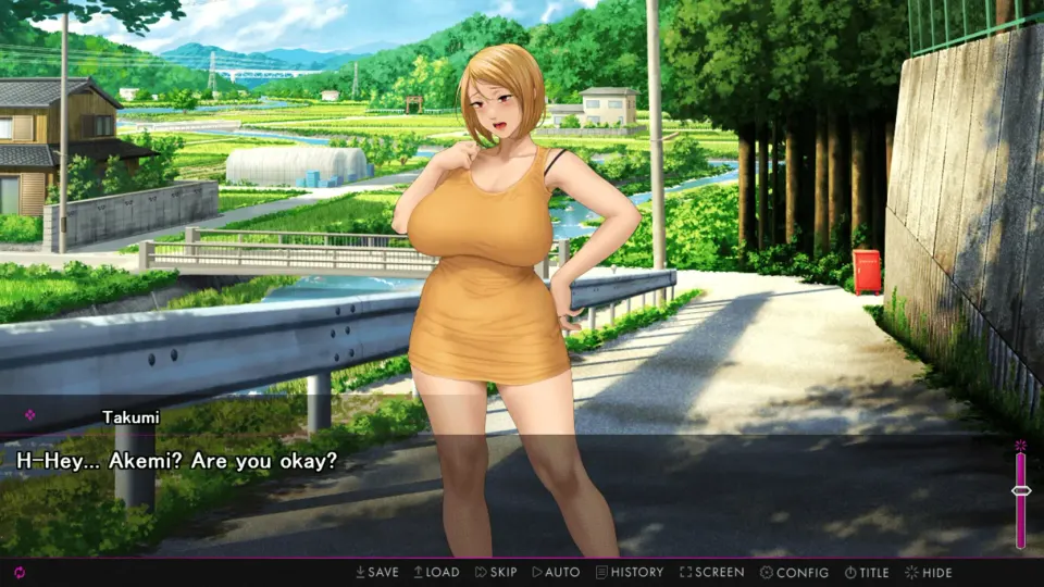 Afternoon Affairs & Helpless Housewives screenshot 4